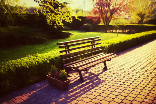 Bench