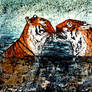 Tigers In  Water