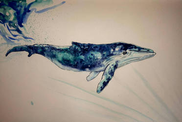 Whale sketch