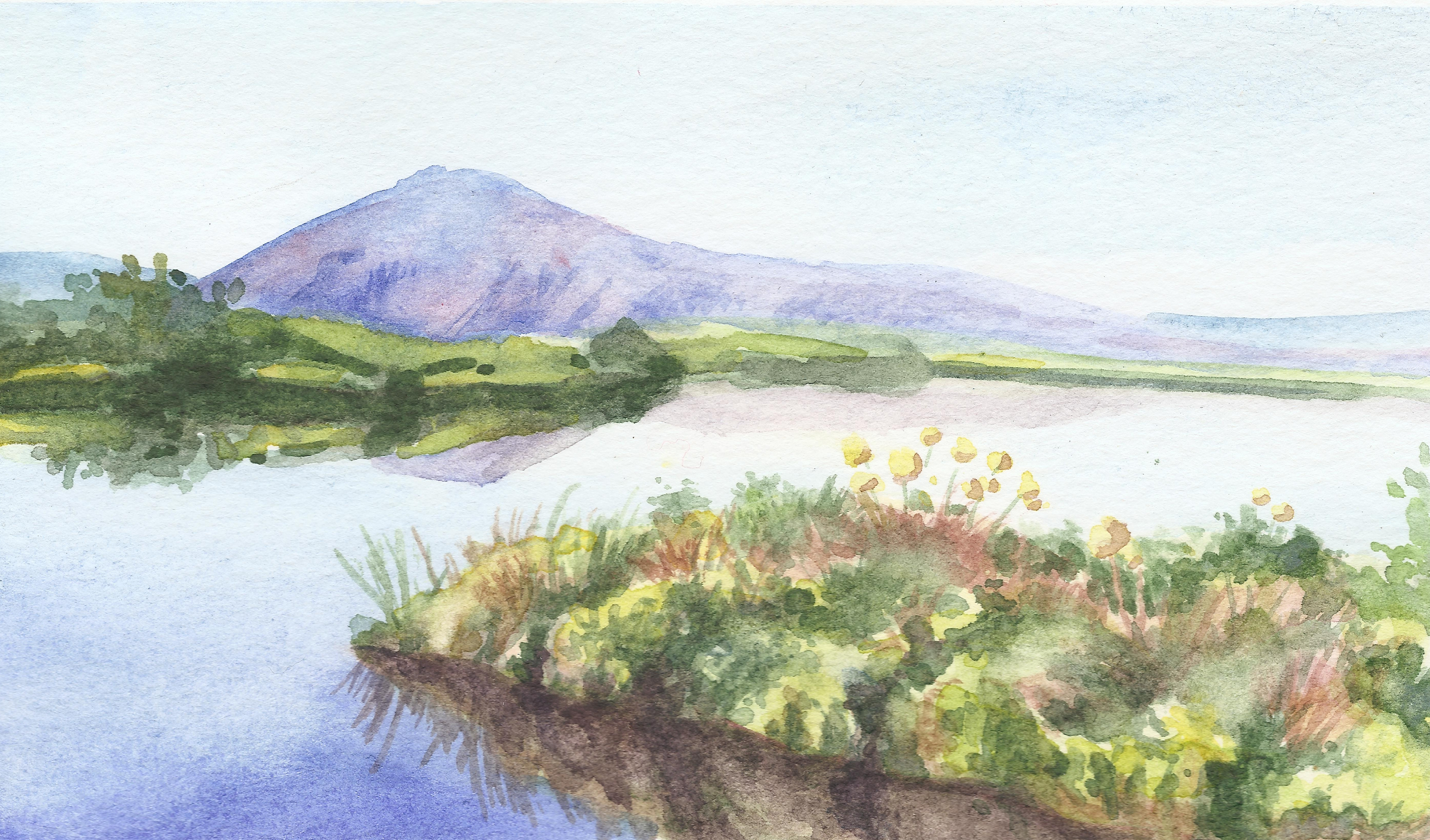 Summer by the lake
