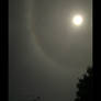 Sun Halo