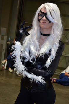 Black Cat Cosplay at 2016 Sydney Supanova