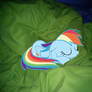 Dashie is on my bed