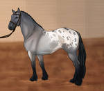 Annual Color Breed Congress - Bullet, Day 1 by strixx-variaa