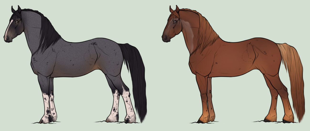 Designs for neighhowlrawr