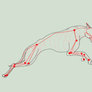 Greyhound Run Cycle