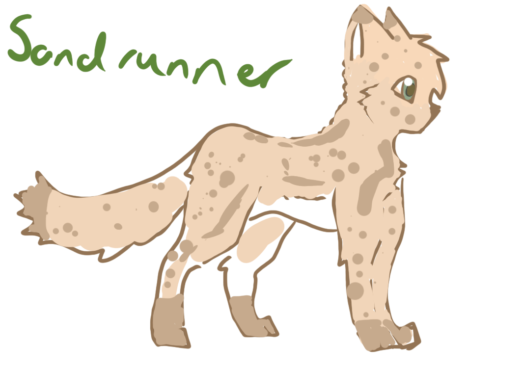 Sand Runner by Glacierwish on DeviantArt