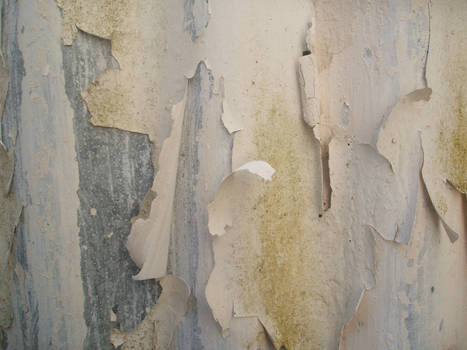 Peeling Paint