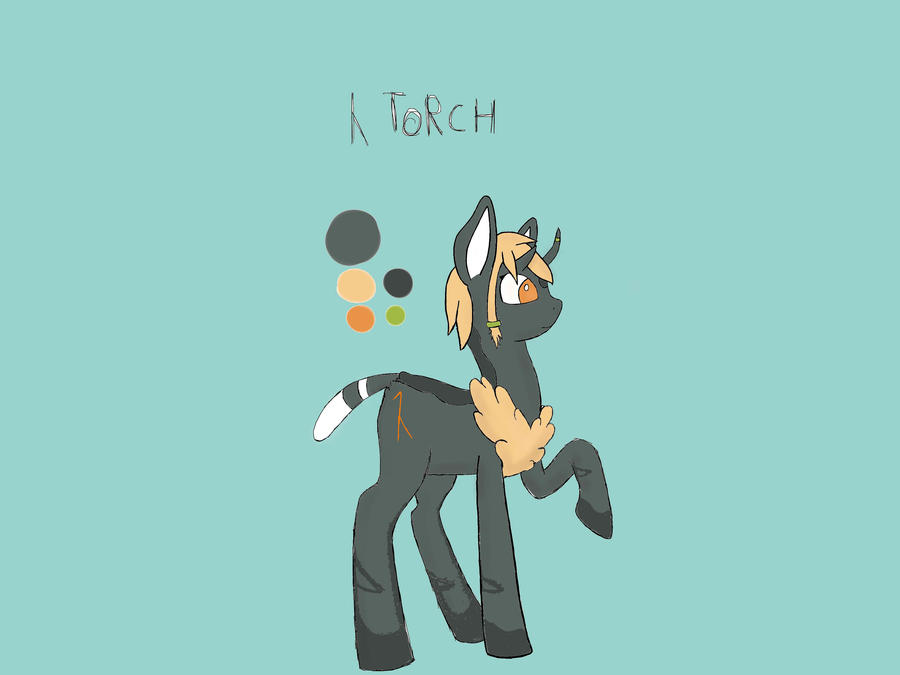 Torch Reference by Myrways on DeviantArt