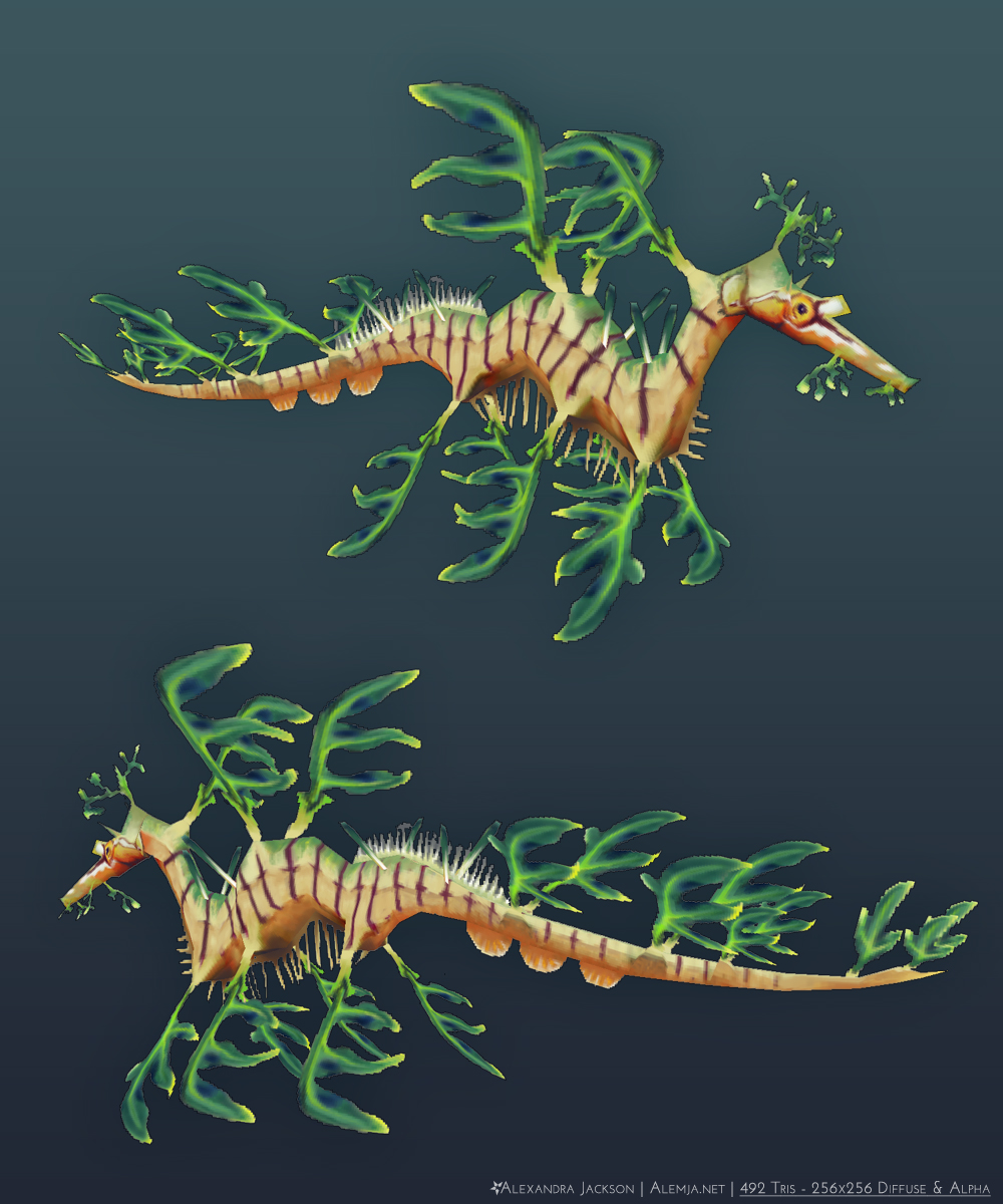 Leafy Sea Dragon