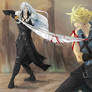 Sephiroth Vs. Cloud