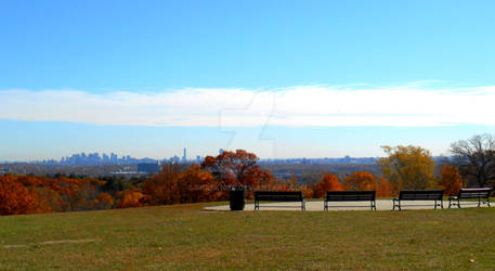 Robbins Farm Park Overlooking Boston 2