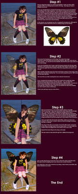 Wings Tutorial