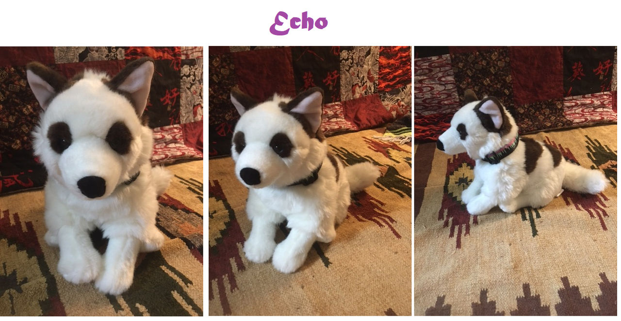 Echo by headdesk on DeviantArt