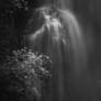 The Cold Caress