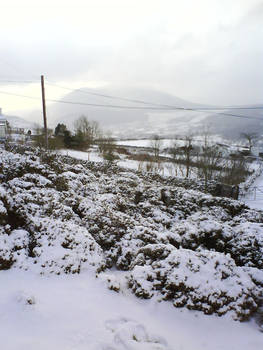 Snow Topped Mynydd Mawr