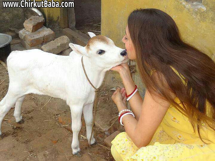 jai gau mata by chirkutbaba on DeviantArt jai gau mata by chirkutbaba on DeviantArt