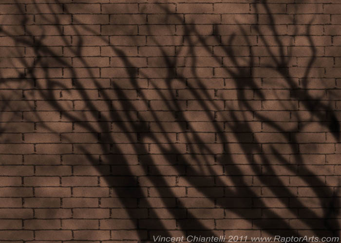 Assignment 2011 - Shadows