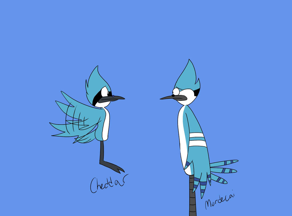 Cheddar meets Mordecai