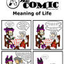 A4: Meaning of Life