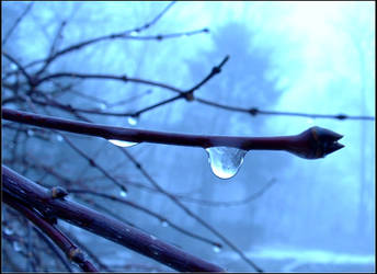 Drip a Drop