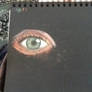 Eye Study 1
