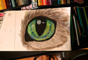 Cat Eye Painting