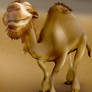 Charming Camel