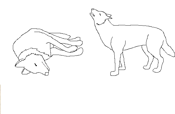 Dead Wolf Drawing