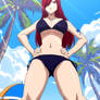 Fairy Tail Erza