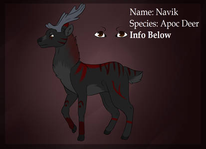 Explore the Best Navik Art | DeviantArt