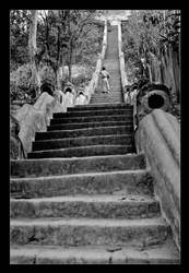 Stairs of Life