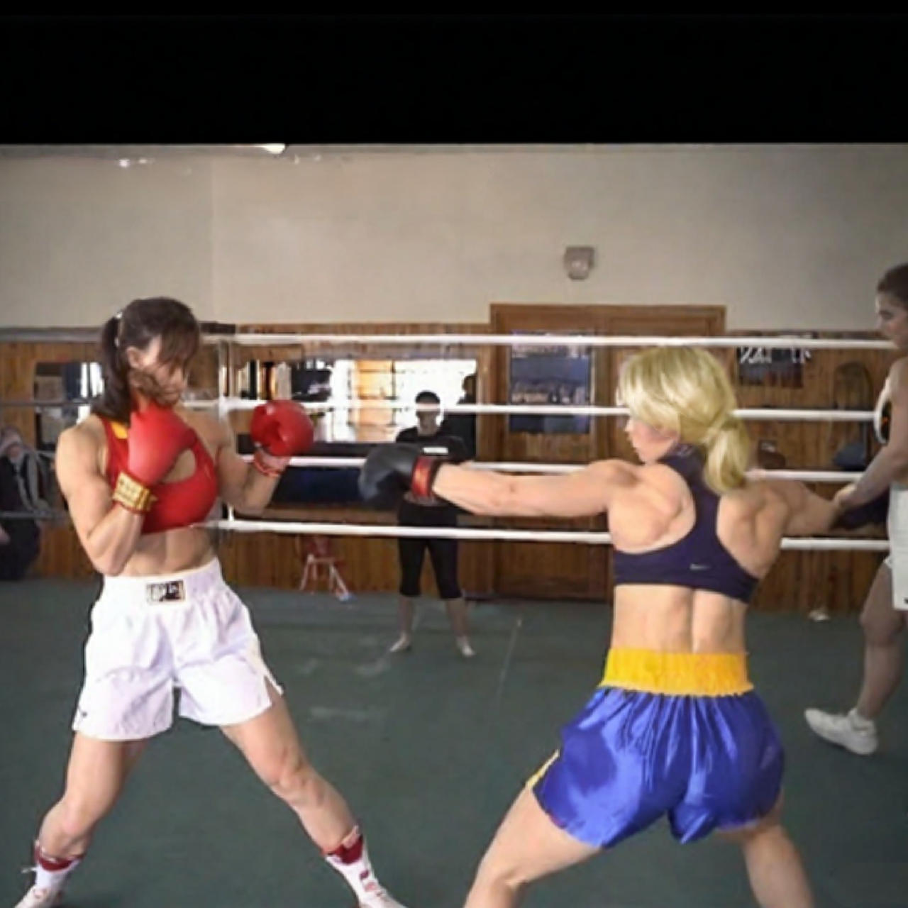 Deviantart Castlevania Boxing boxing by ccrgameman on DeviantArt