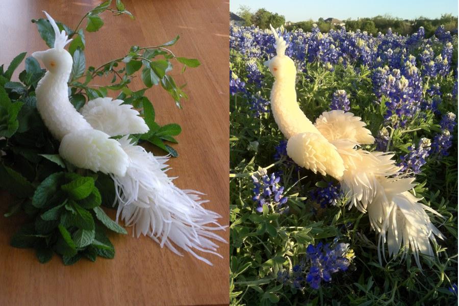 Peacock on Texan Bloom