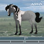 ... Asszony ...