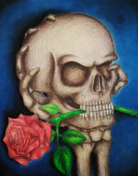 Imaginative Skull and Rose Drawing