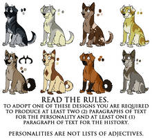 Dog Adopts :CLOSED: