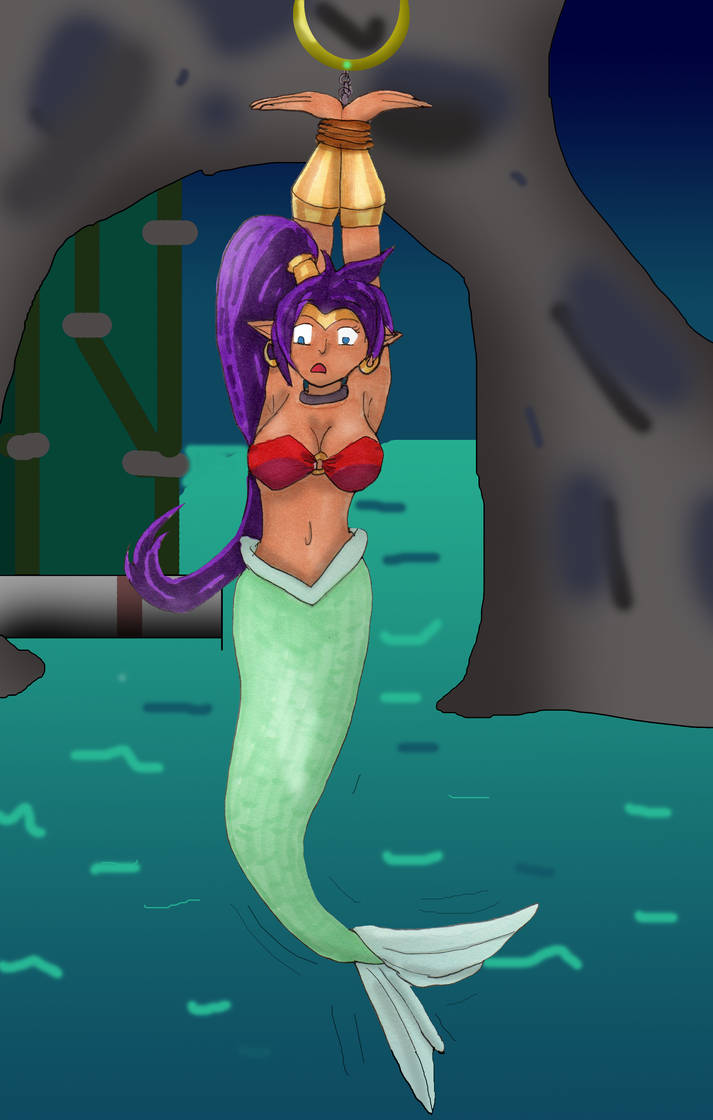 Shantae: Half Genie Hero, Half-Mermaid Damsel by Kathalia on DeviantArt.