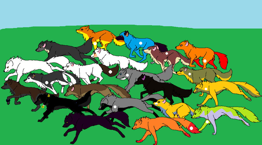 Cd Rudd Deviantart Wolfpack the whole pack XD by wolvesanddogs23 on DeviantArt