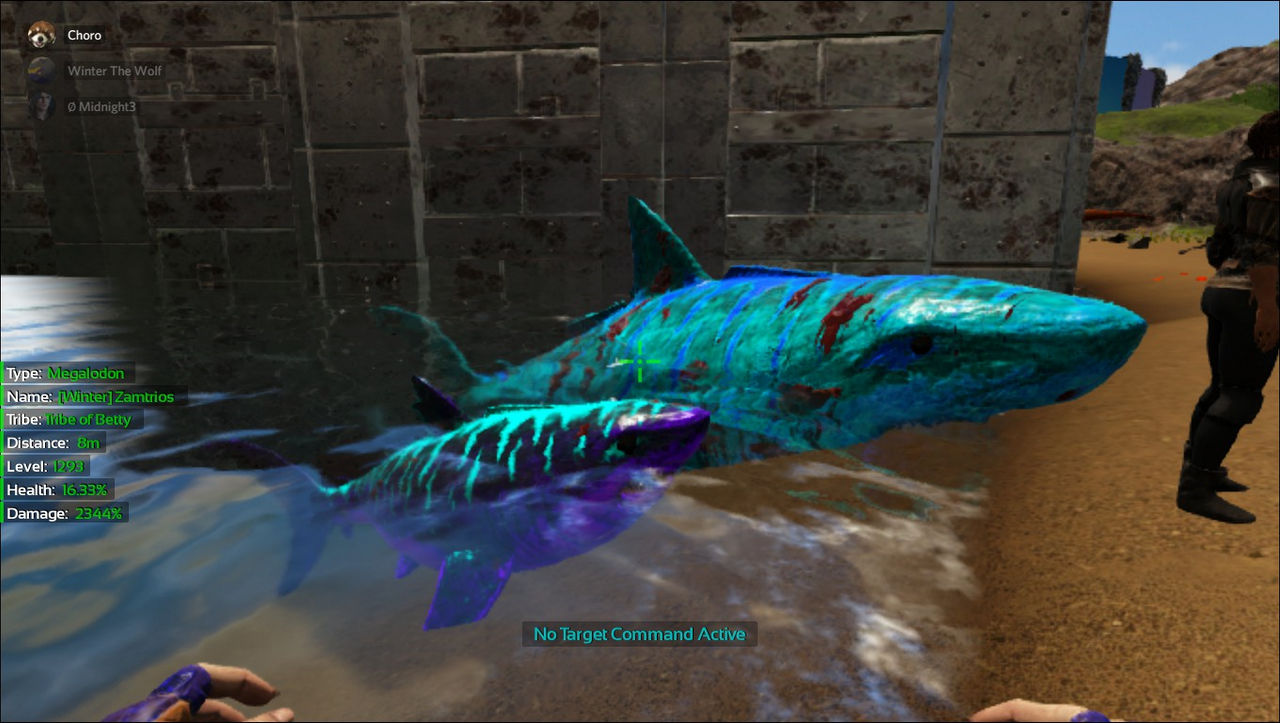 Fully Mutated Sharks by wolvesanddogs23 on DeviantArt