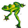 Frog colored