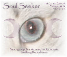 Soul Seeker Project - V1.0