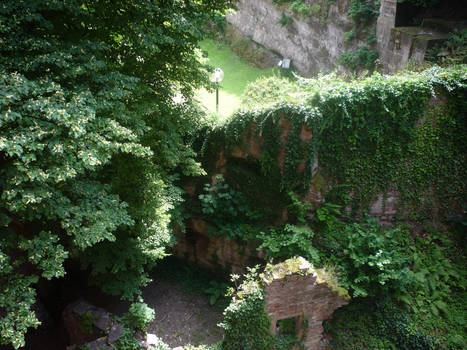 Heidelberg Castle Ruins I