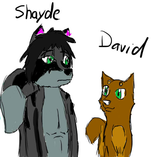 david and shayde