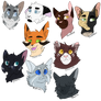 Cats of Direclan #2