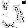 SilverTail 2
