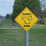 Squirral Crossing