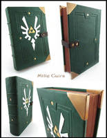 Hylian leather book - White wings