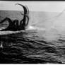 ICSU Archives - Sea Monster Capture