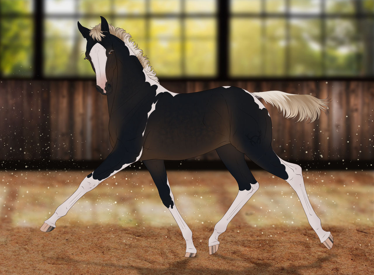 Bacchanalia AGA - Foal Design